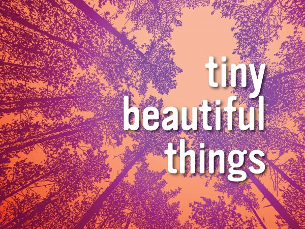 Tiny Beautiful Things