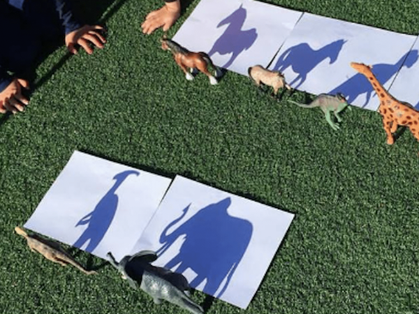 Scientific Shadow Drawing SVMoA Classroom Enrichment Project