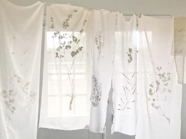 FREE SPECIAL EVENT/EXHIBITION CELEBRATION & STREET PARTY Honoring Kristin Poole: Gardens: Collaborations with Nature