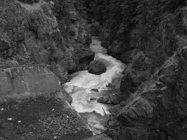 Eirik Johnson, Elwha 202