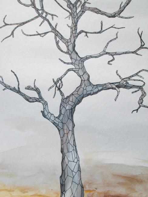 Jason Middlebrook’s Homage to the Limber Pine