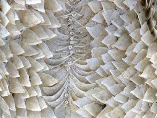 Mirage: Energy, Water and Creativity in the Great Basin